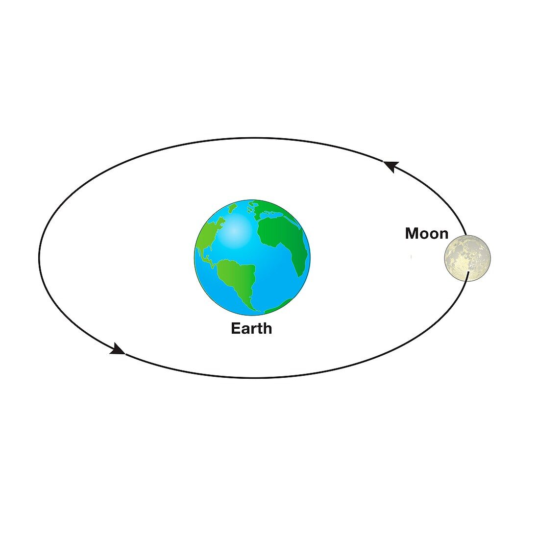 The Moon orbiting Earth, illustration