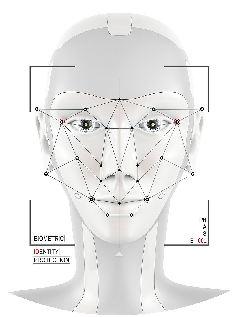 Facial identification, conceptual illustration