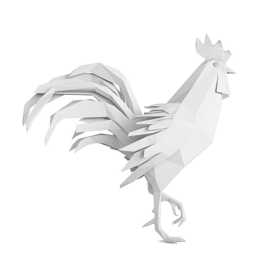 Origami rooster, illustration