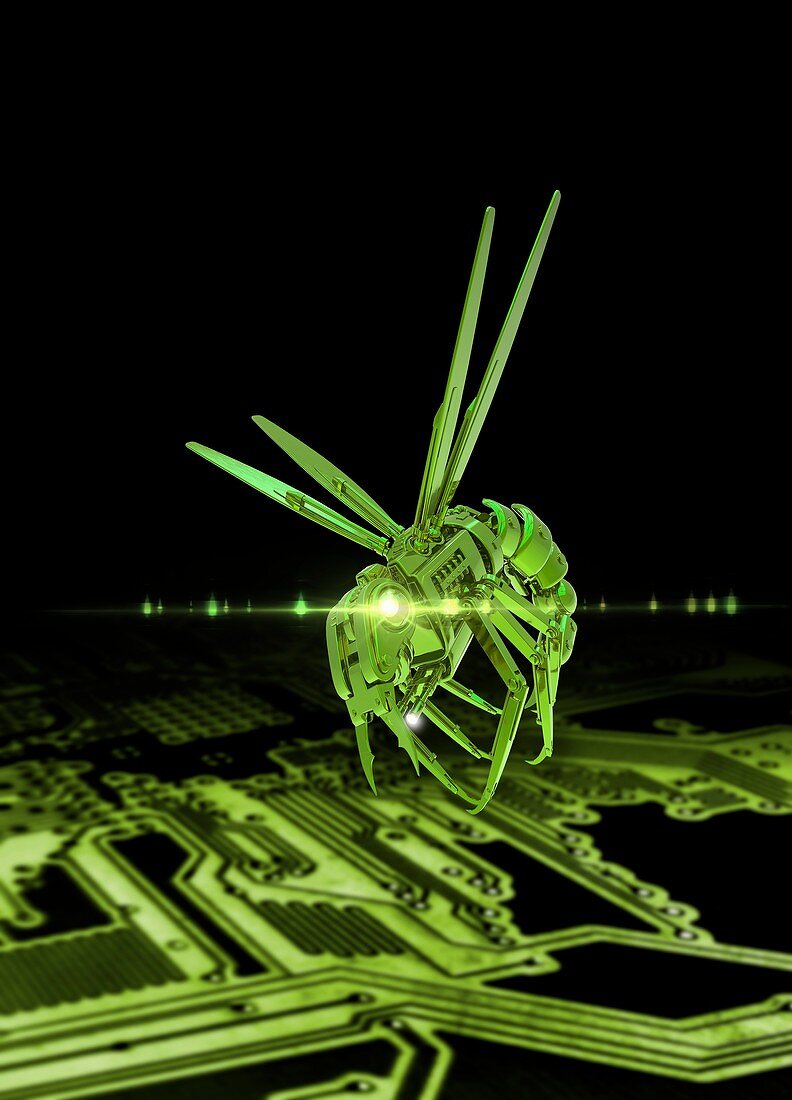 Robotic insect and circuit board, illustration