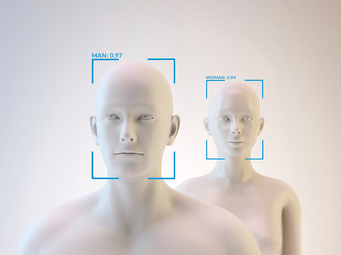 Androids and facial recognition, illustration