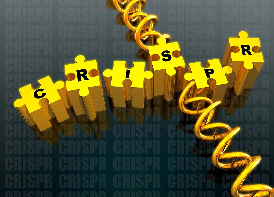 Jigsaw pieces with CRISPR and dna strand, illustration