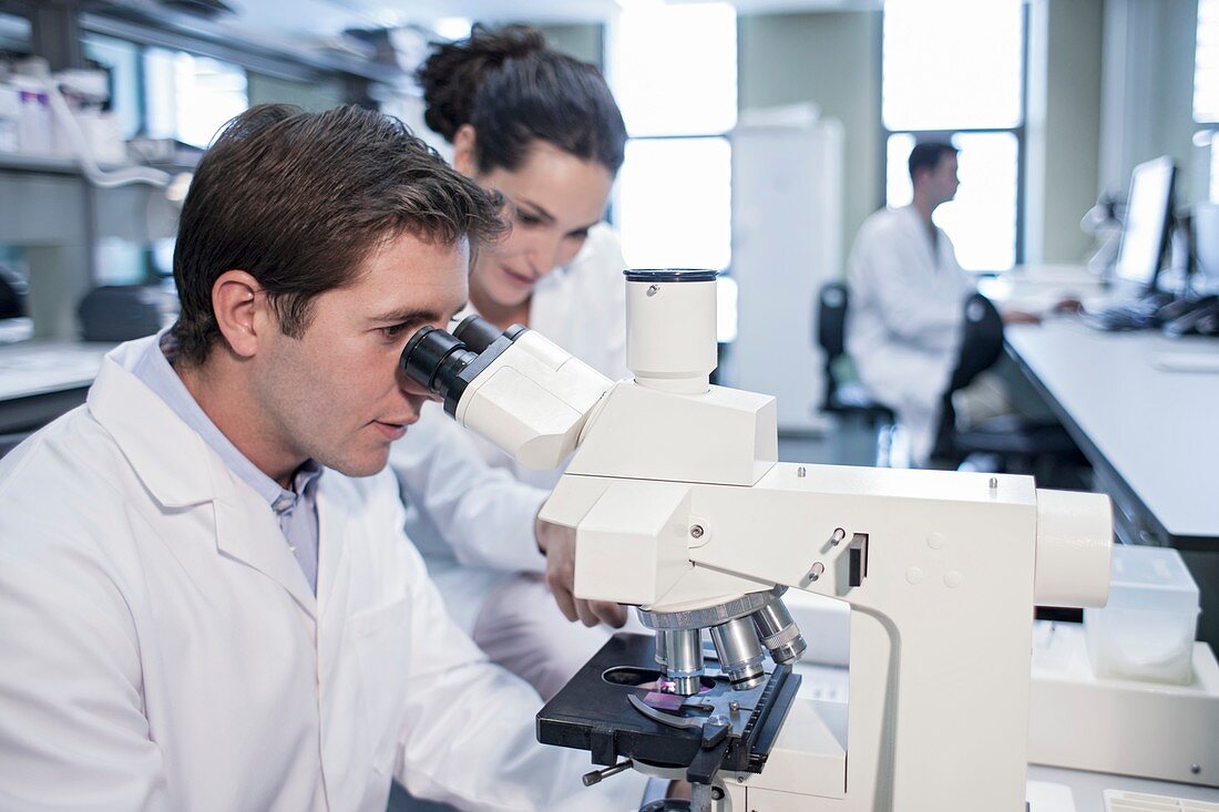 Laboratory assistants using microscope