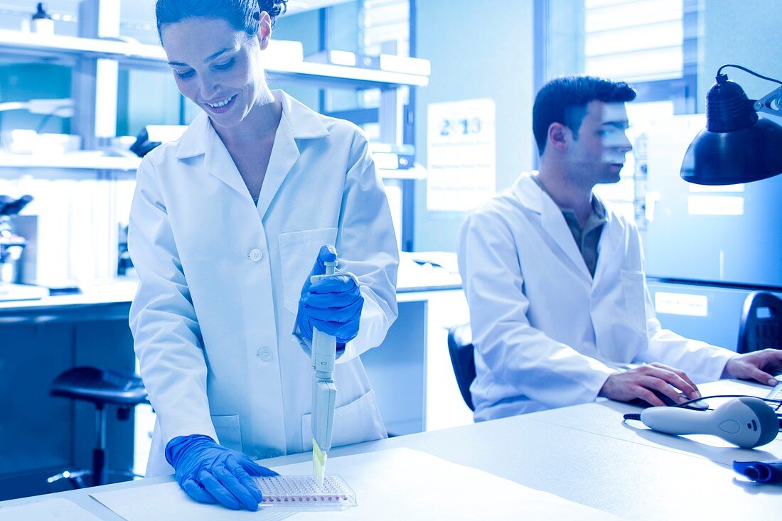 Scientist using pipette in the laboratory