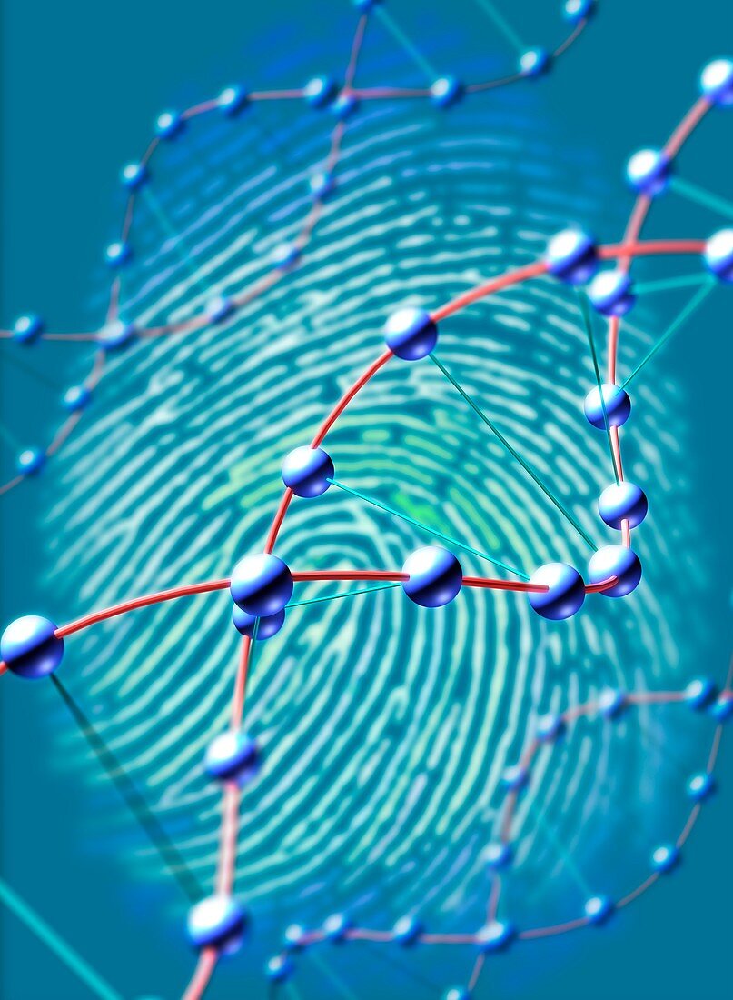 DNA fingerprint, illustration