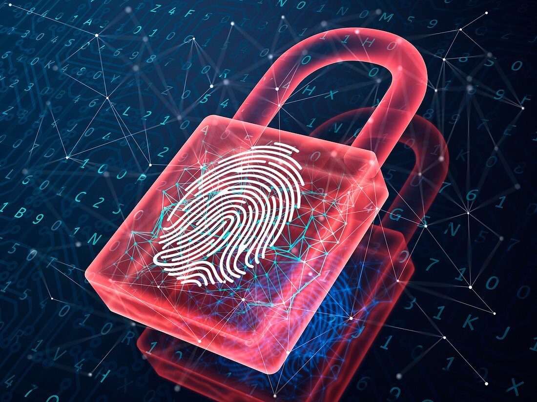 Fingerprint authentication technology, illustration