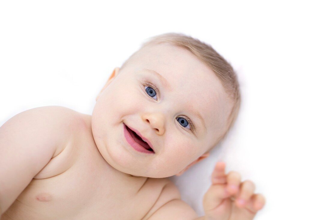 Baby lying down, portrait