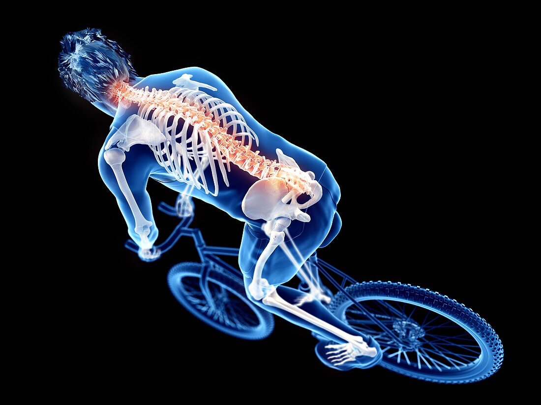 Illustration of a cyclist