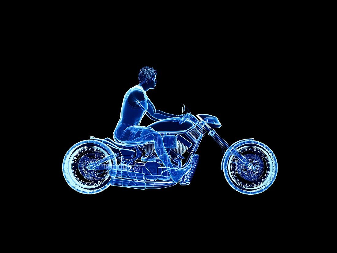 Illustration of a biker