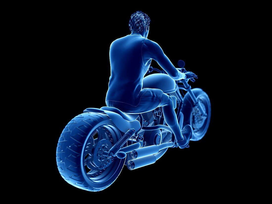 Illustration of a biker