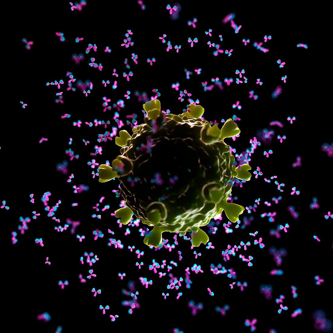 Illustration of antibodies attacking a HIV virus