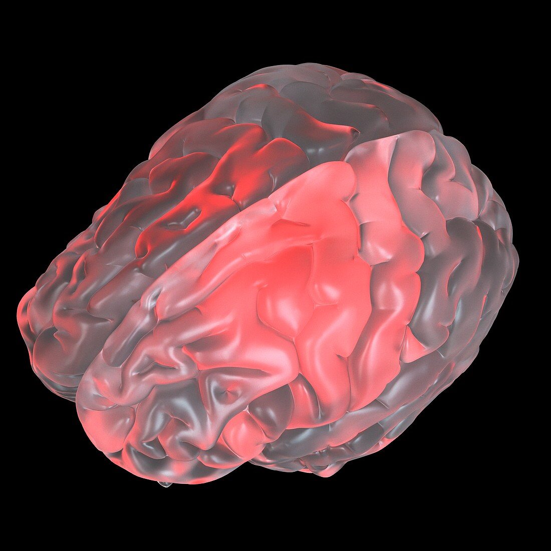 Illustration of a red glowing glass brain