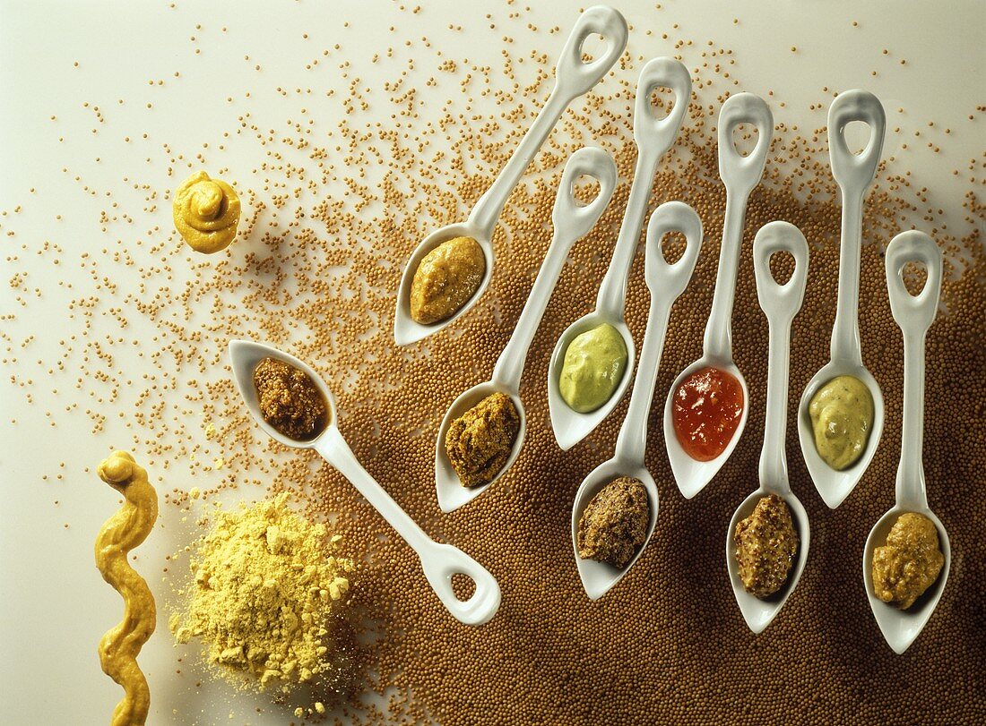 Mustard, mustard seeds & various mustard sauces on spoons