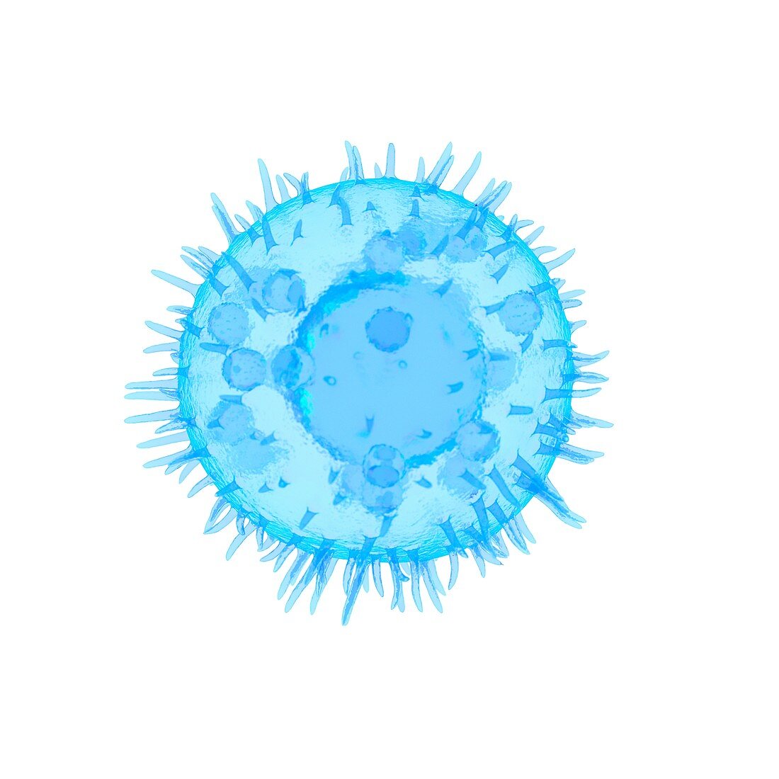 Illustration of a mast cell