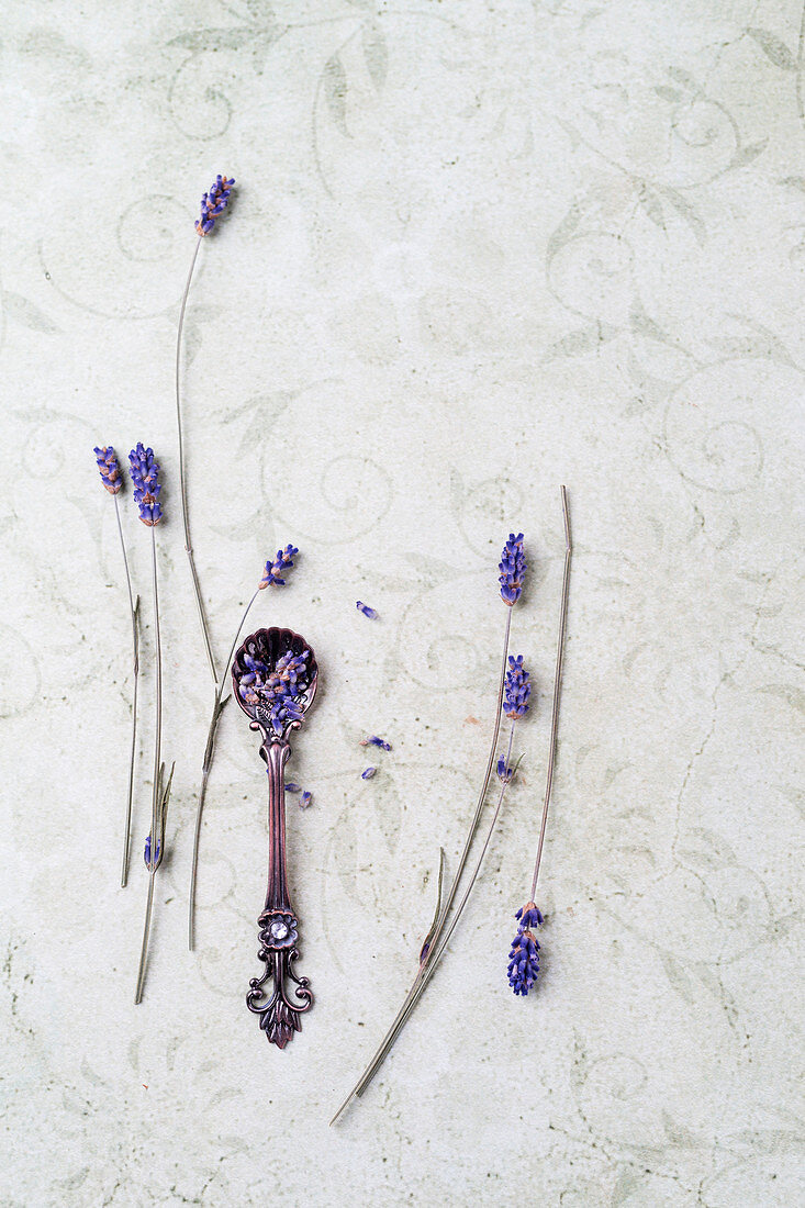 Lavender flowers on a spoon