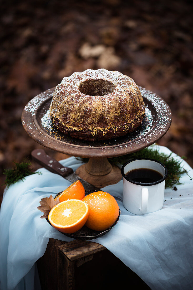 Chocolate orange cake in late autumnal leaves