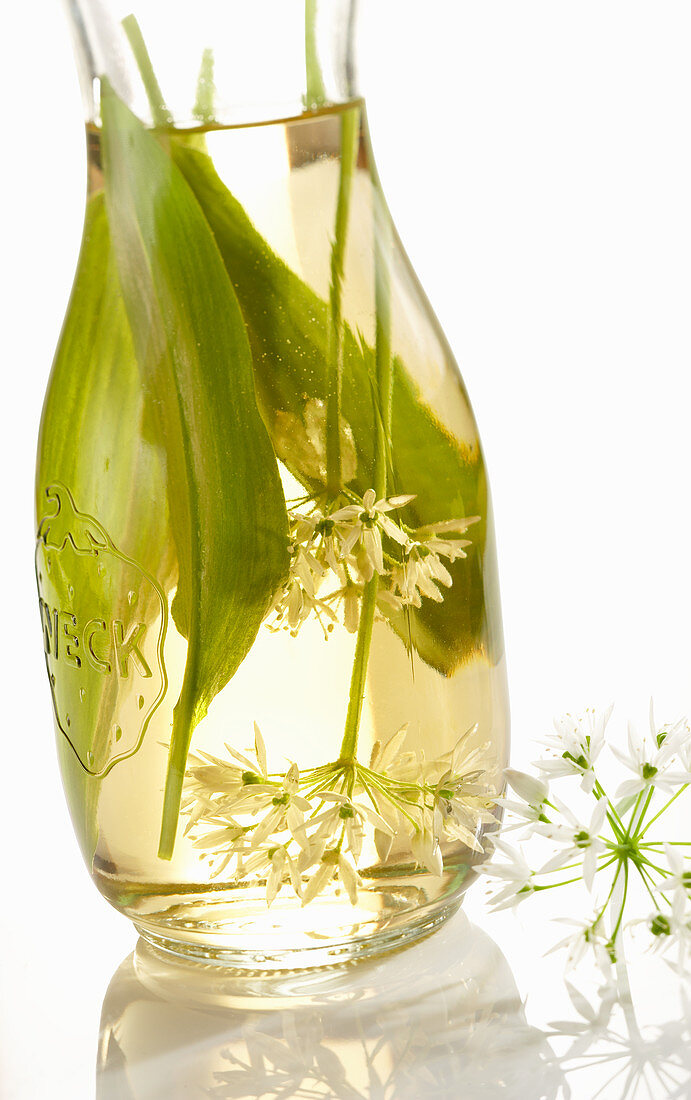 Selbst angesetzter Bärlauchessig mit weißem Balsamico, Bärlauchblättern und Bärlauchblüten in einer Weckflasche