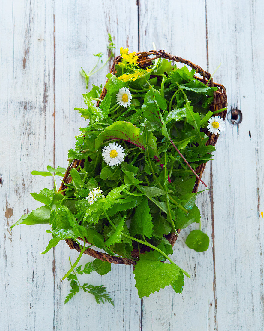 Wild herbs in a basket