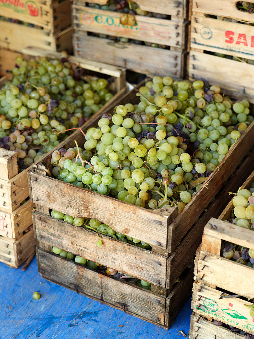 Boxes with grapes during wine harvest