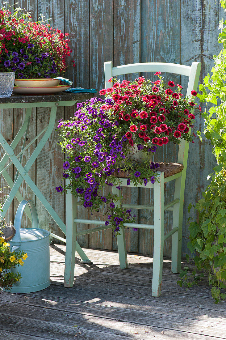 Late summer terrace with magic bells