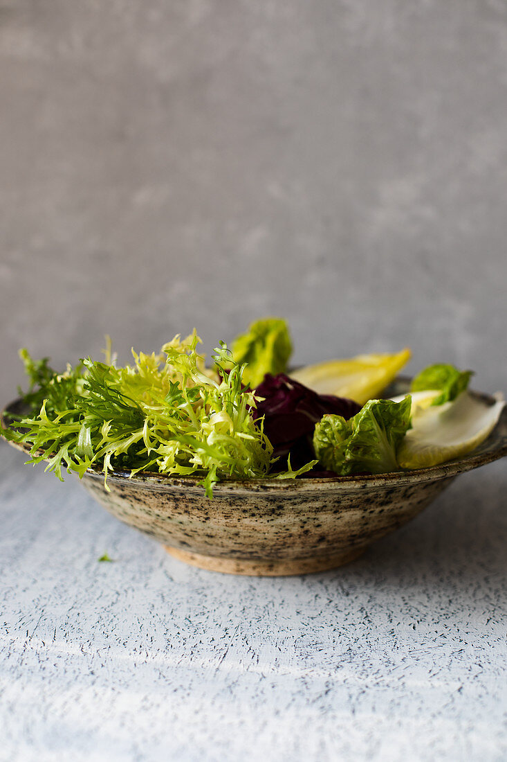 A bowl with winter lettuces