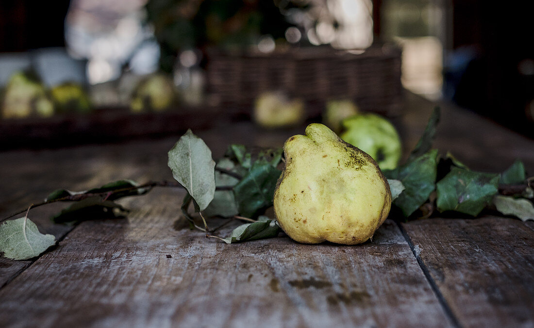 Frische Quitten und Äpfel auf Holztisch