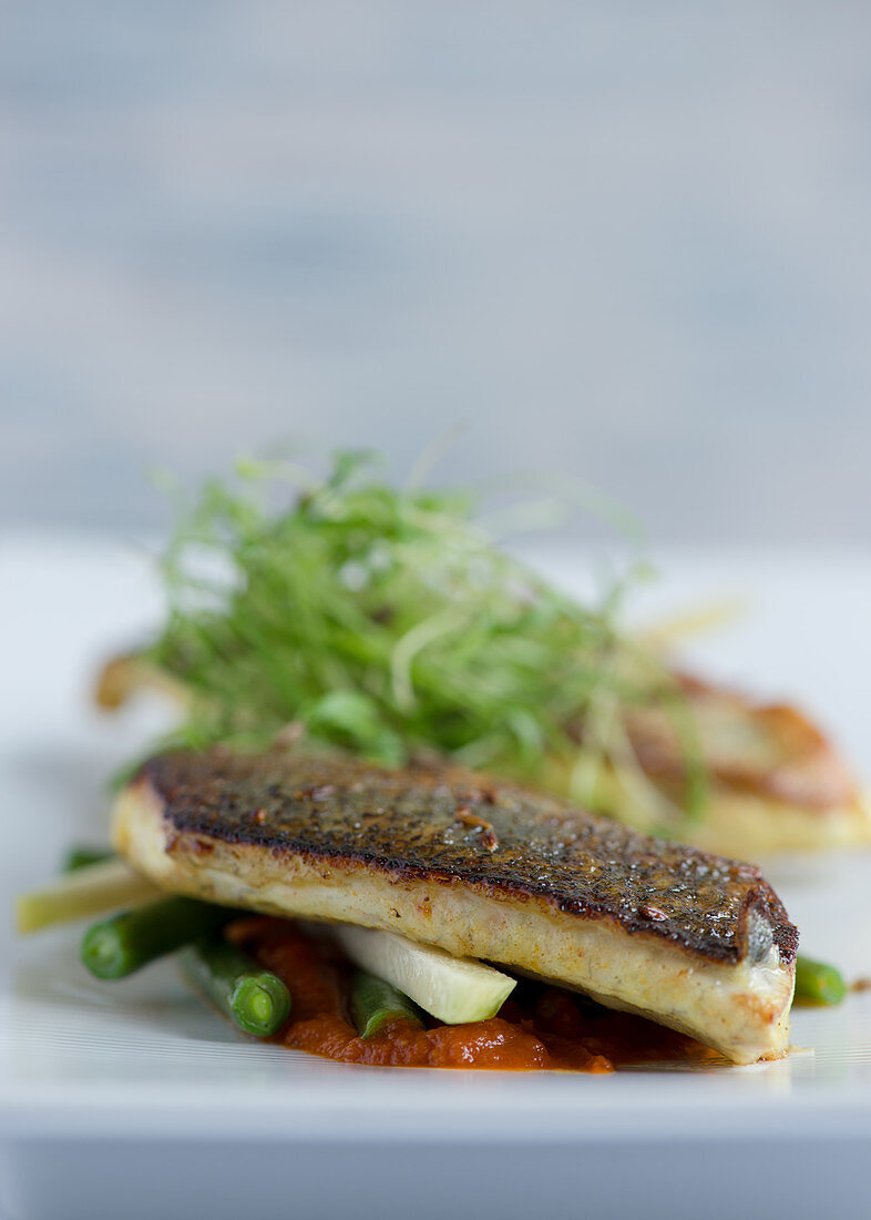Panfried Seabass with Spring Vegetables and Tomato Sauce