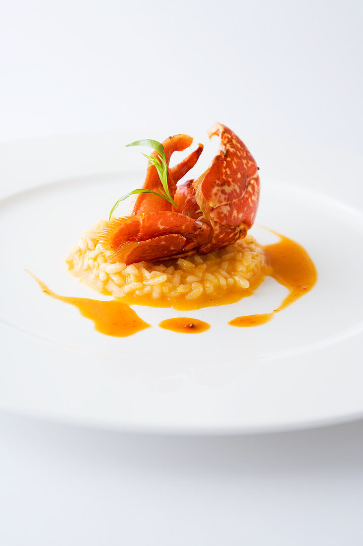 Lobster on lobster risotto