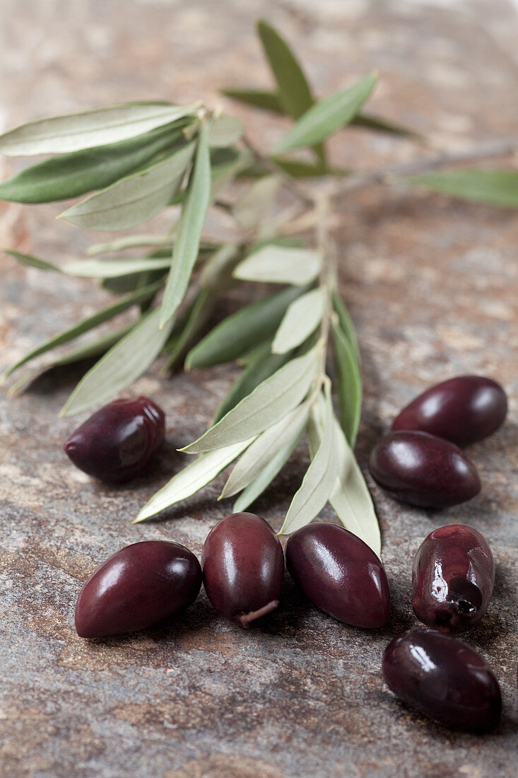 Schwarze Oliven und Olivenzweige
