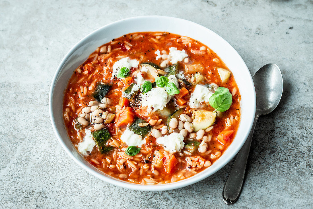 Minestrone mit Mozzarella