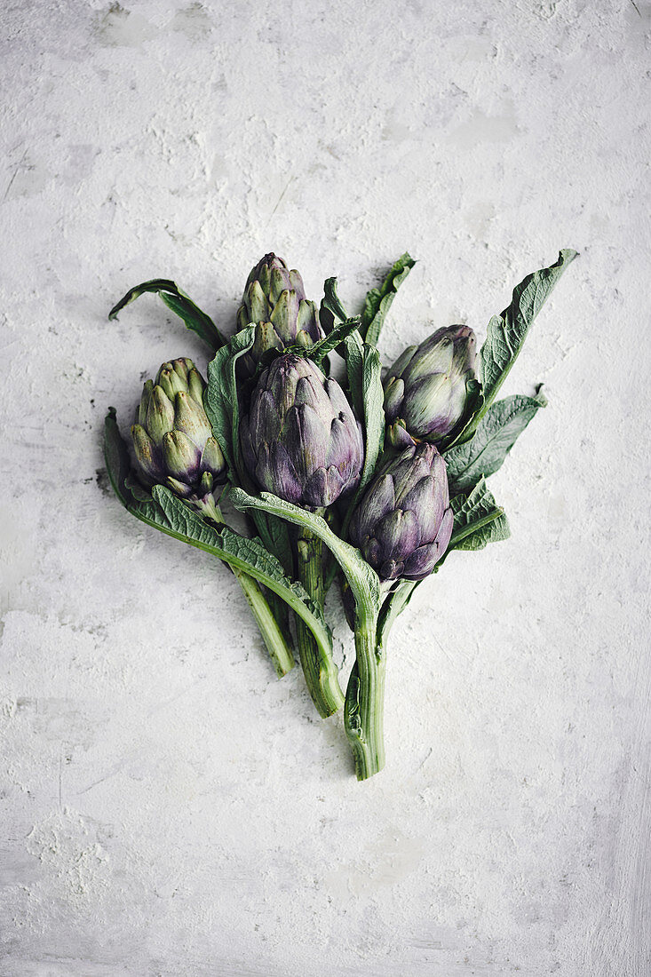 Freshly picked artichokes