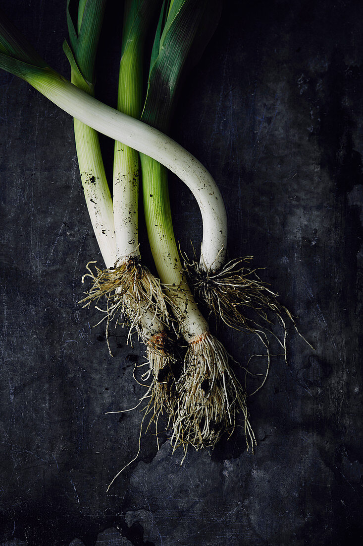 Freshly harvested leek