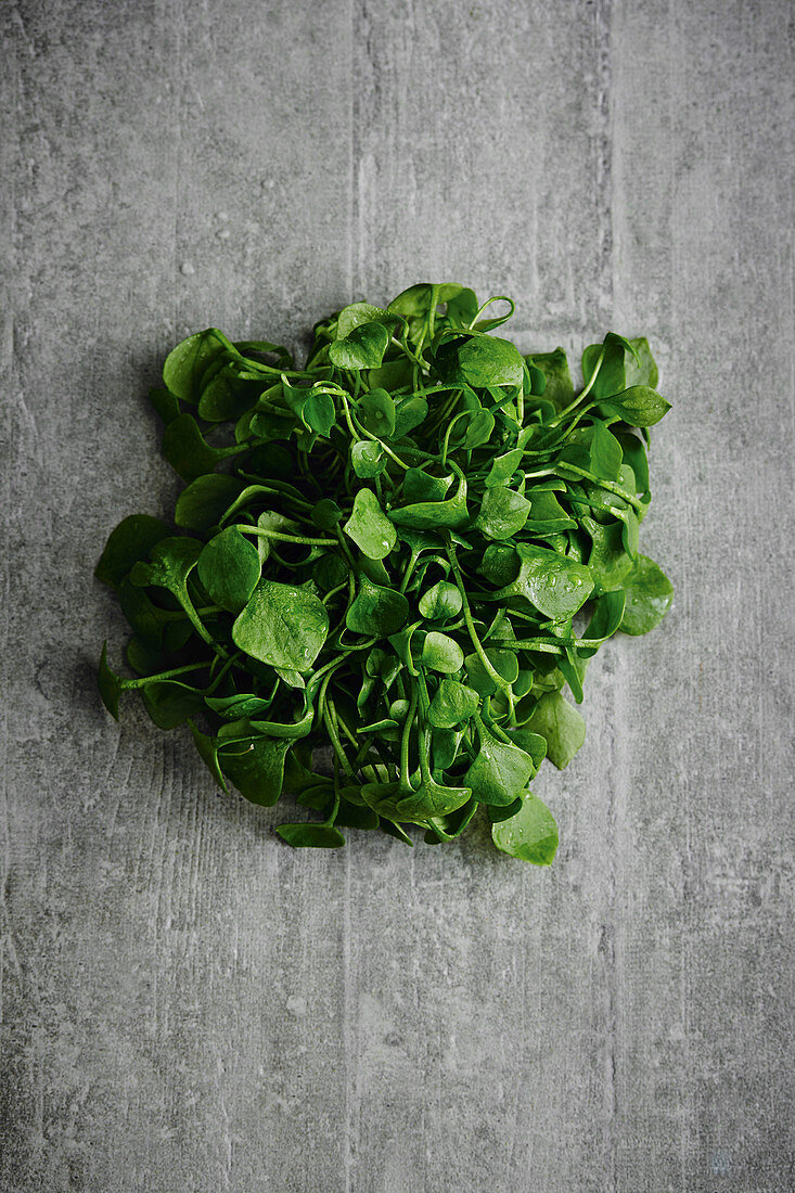 Freshly harvested purslane