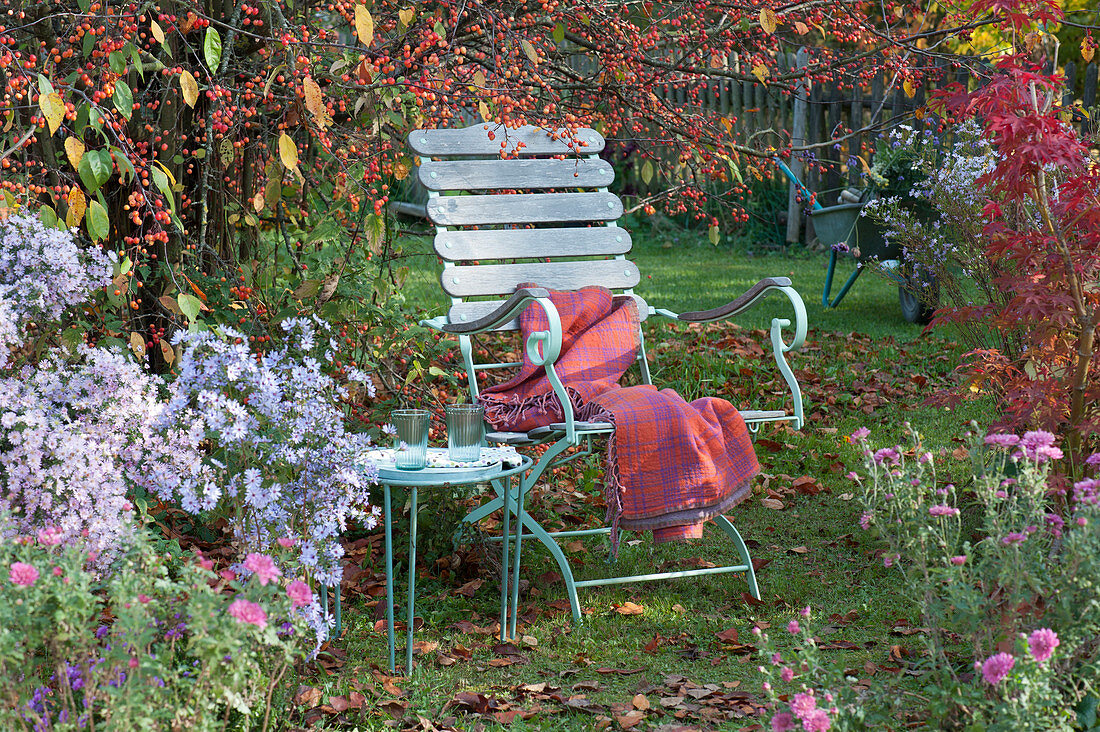 Seating next to ornamental apple tree and autumn aster