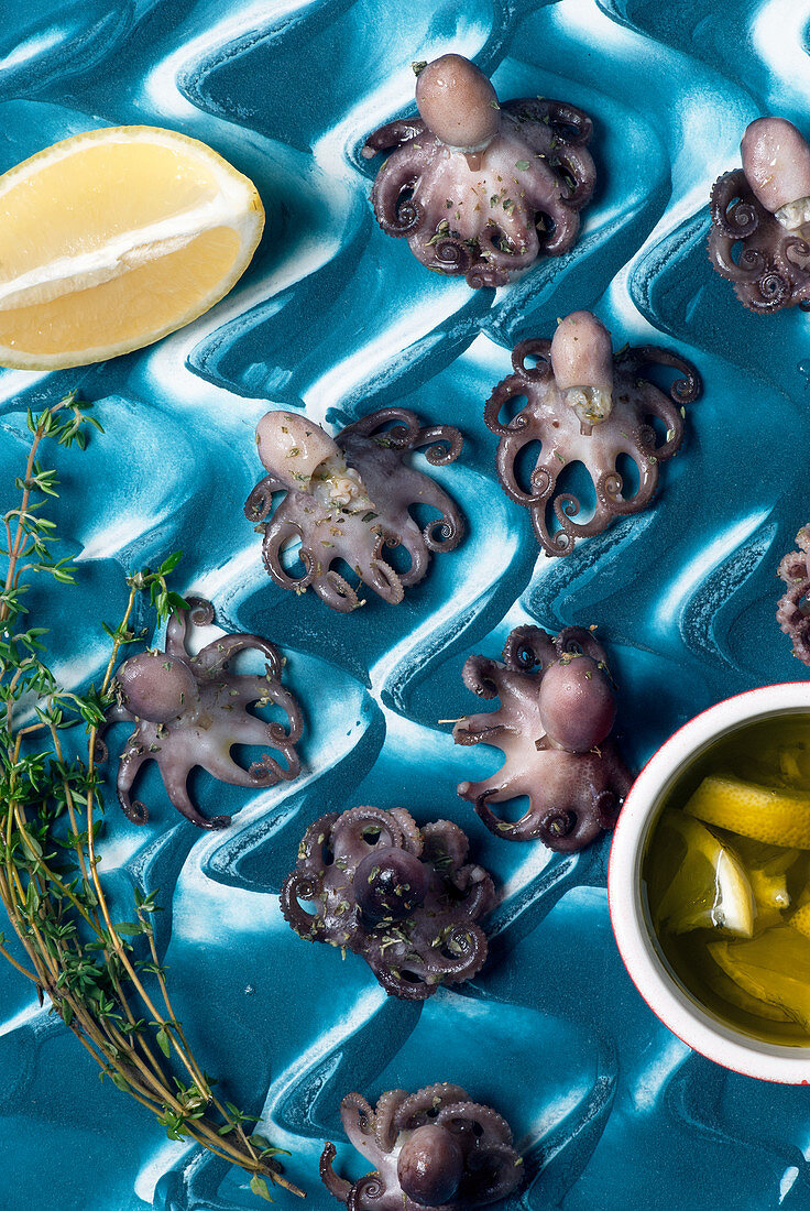 Grilled baby octopuses