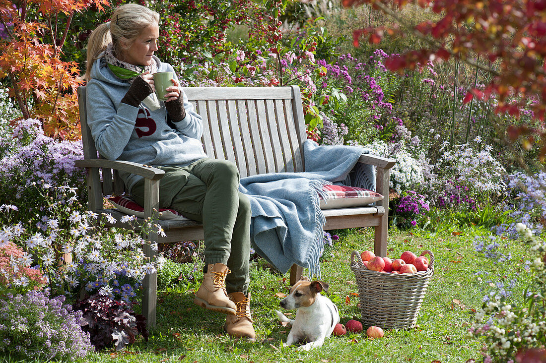 Woman on wooden bench on bed with autumn asters, basket of apples, dog Zula