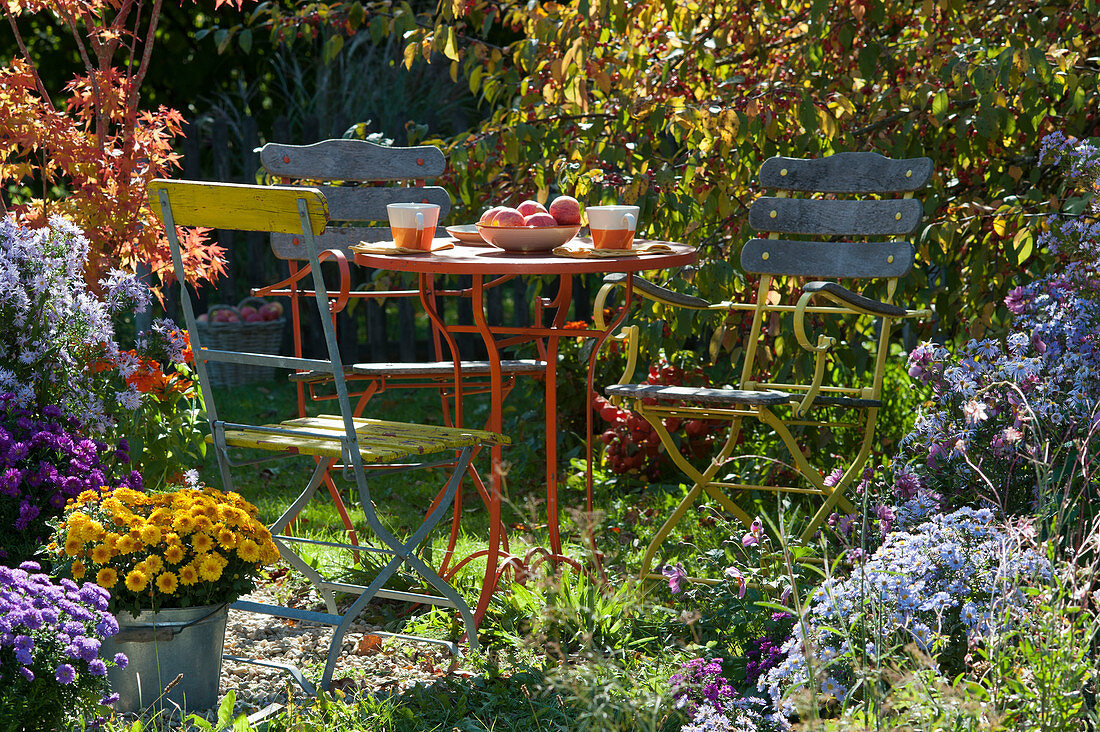 Small seating area in the autumn garden