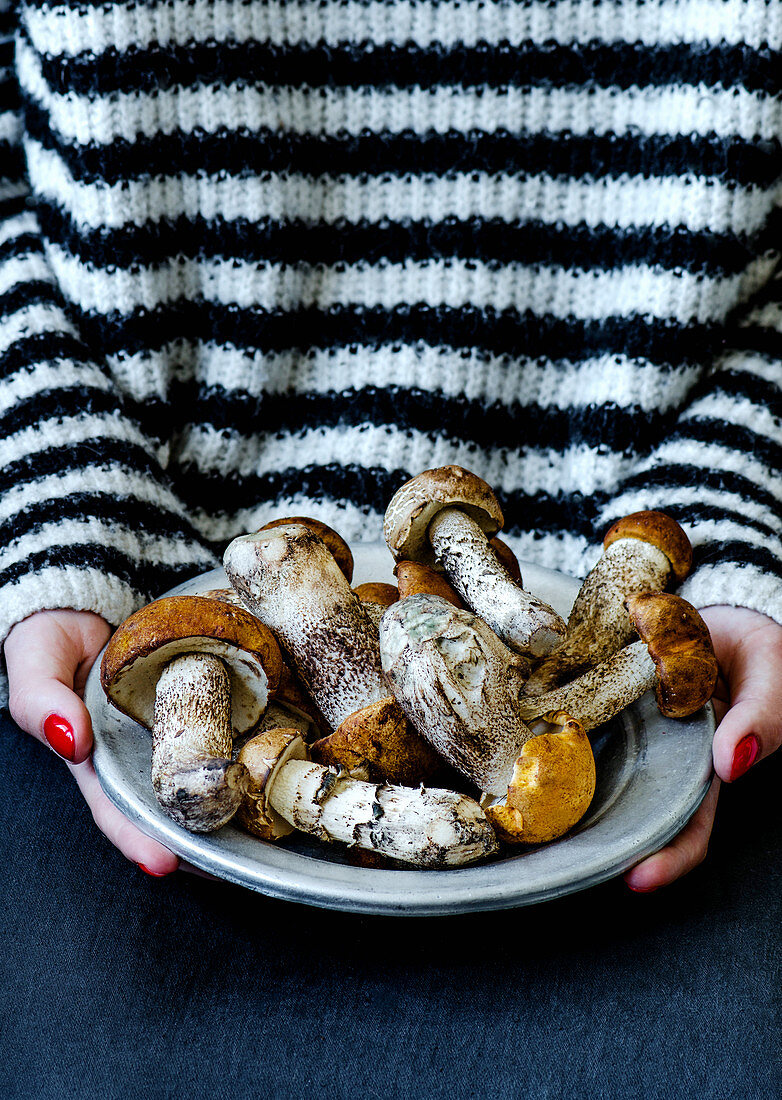 Fresh mushrooms aspen mushrooms in a metal plate in the hands of the girl