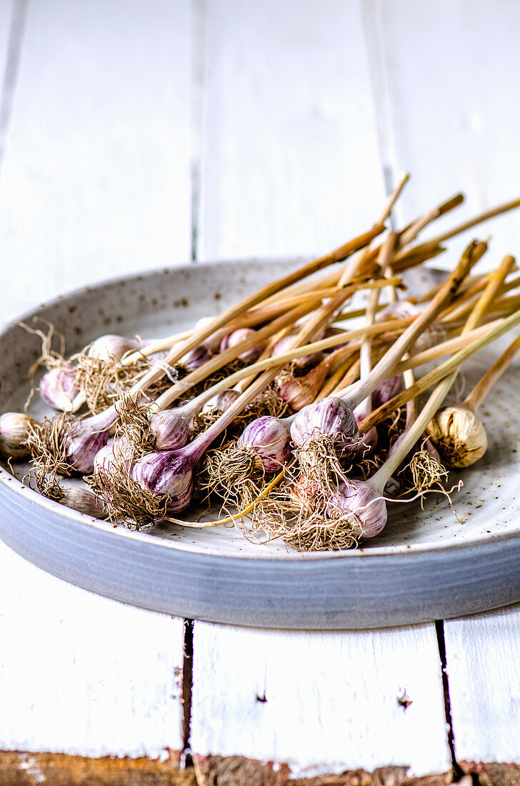 Getrockneter Knoblauch mit Stielen