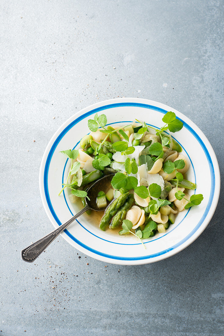 Minestrone mit Erbsensprossen