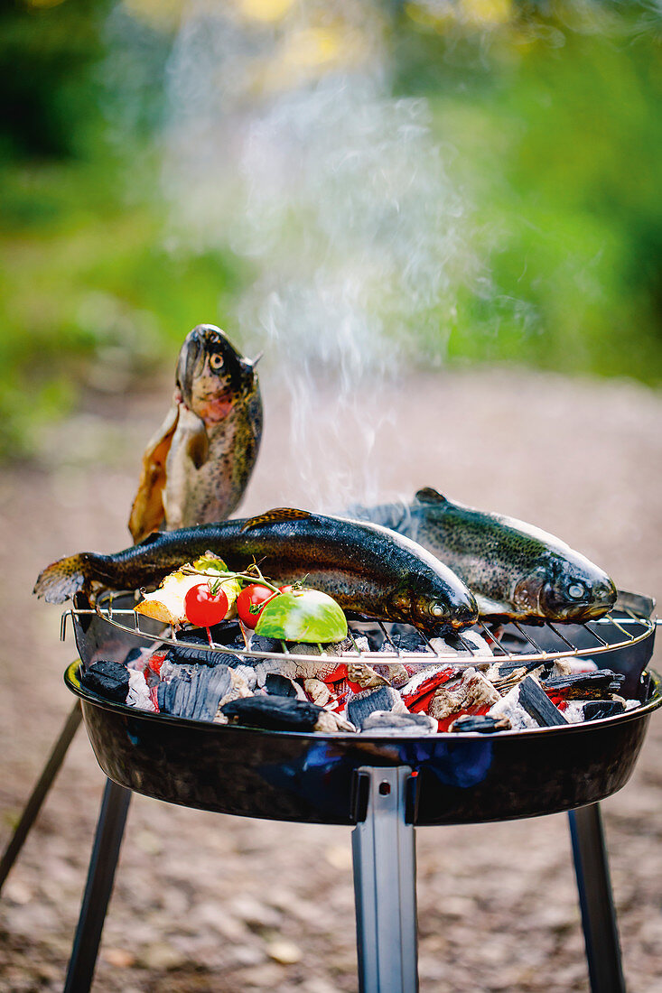 Grilled trout