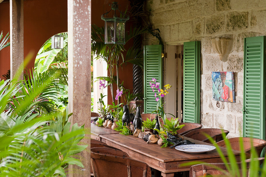 Veranda dining table arranged with orchids, gourds and shells, a sealing wax palm is in the foreground