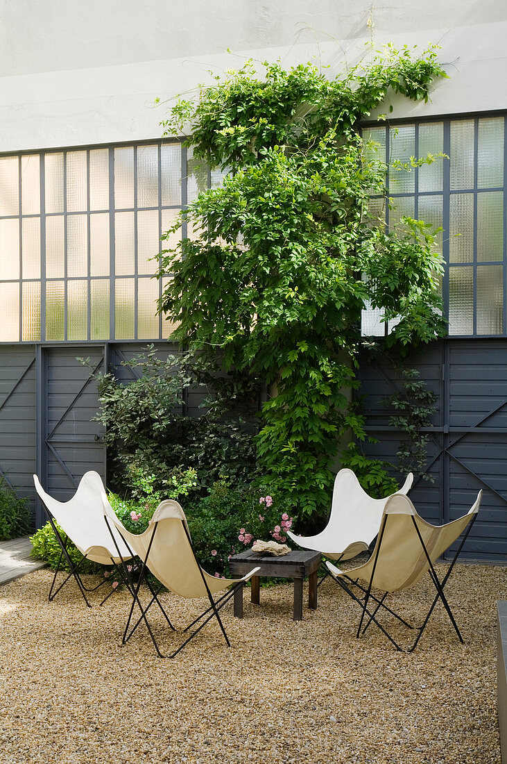 Group of designer Butterfly chairs and table in gravel courtyard