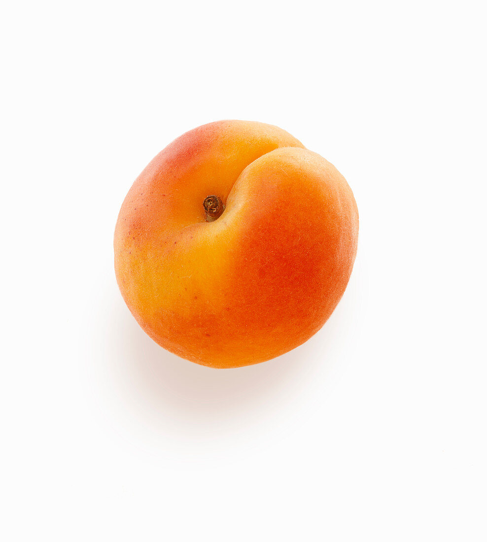 Eine Aprikose auf weißem Hintergrund