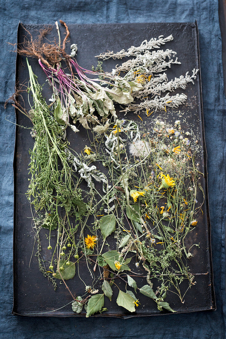 Dried herbs for herbal tea