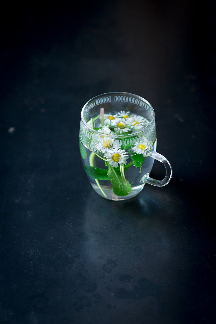 Daisy tea in a glass