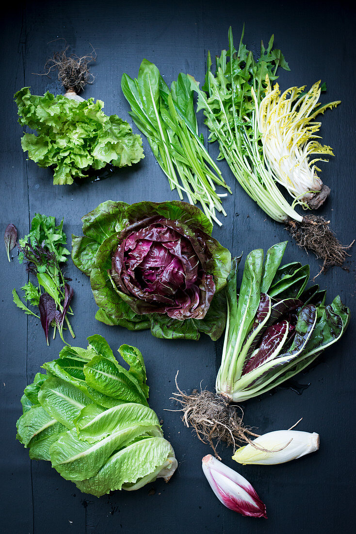 Various bitter salad leaves