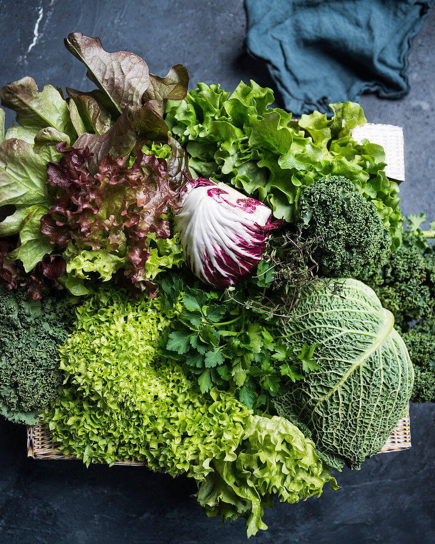 A crate of savoy cabbage, parsley, thyme, lollo, kale, oak-leaf lettuce and radicchio