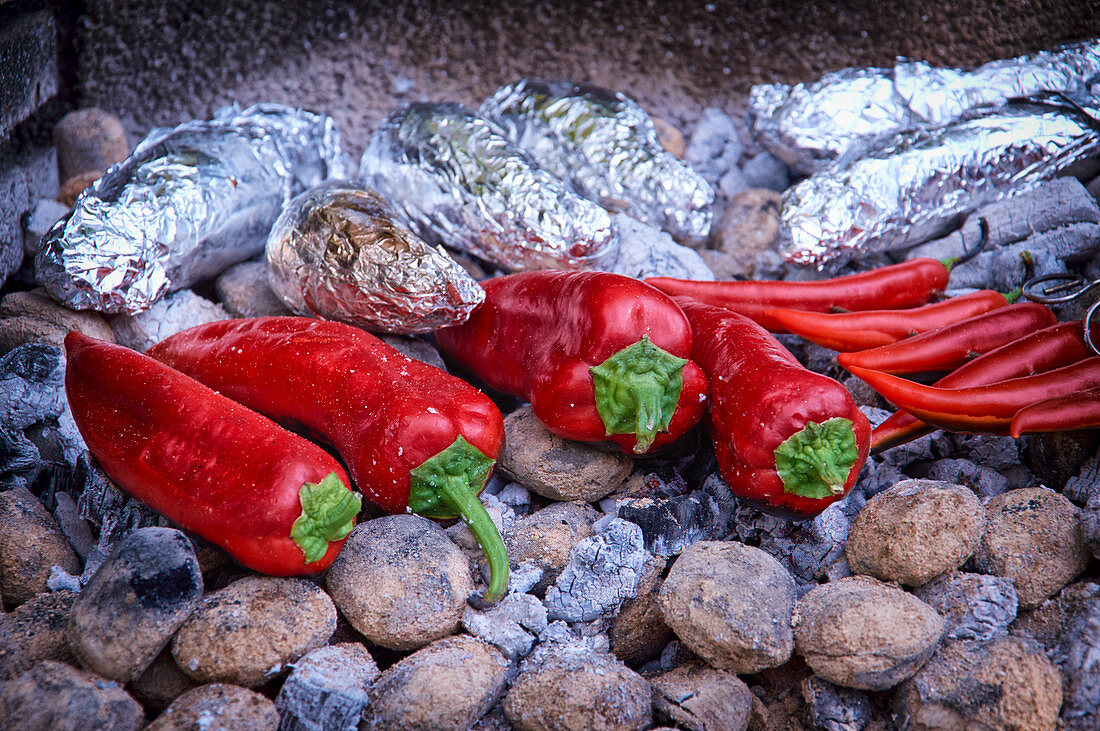 Spitzpaprika und Chilischoten liegen auf schwelenden Kohlen