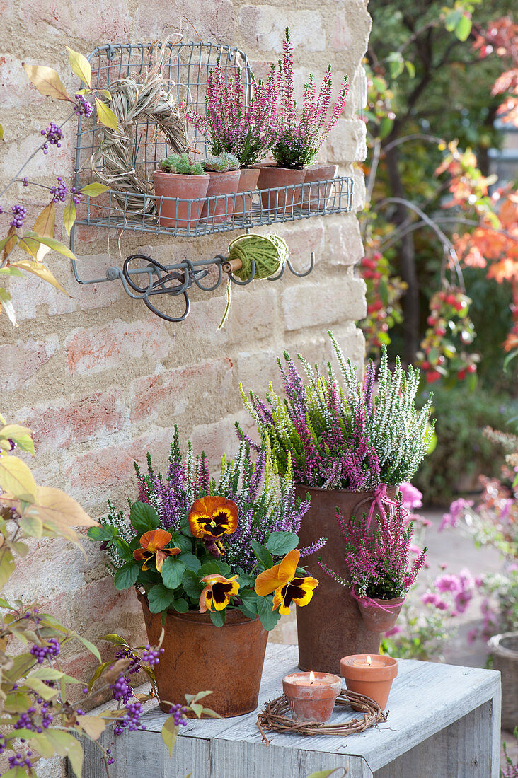 Bud heather trio girls and pansies in terracotta